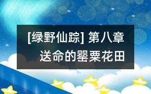 [綠野仙蹤] 第八章　送命的罌粟花田