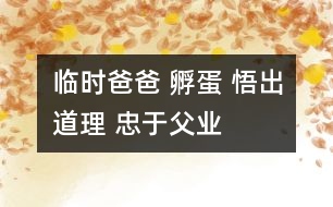 臨時(shí)爸爸 孵蛋 悟出道理 忠于父業(yè)